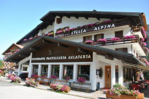 Отель Hotel Stella Alpina  Фалькаде